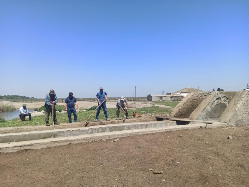 Перегон овец в хозяйствах Хунзахского района