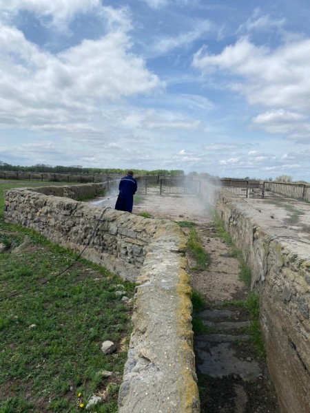 Противоклещевые обработки