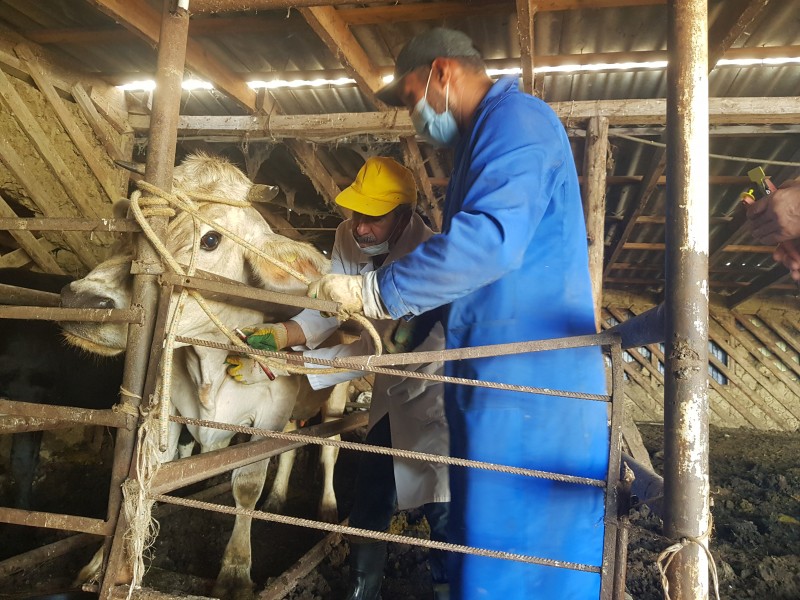 Оздоровительные мероприятия в неблагополучных пунктах города Махачкалы