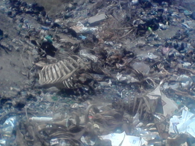 Совместные мероприятия с прокуратурой