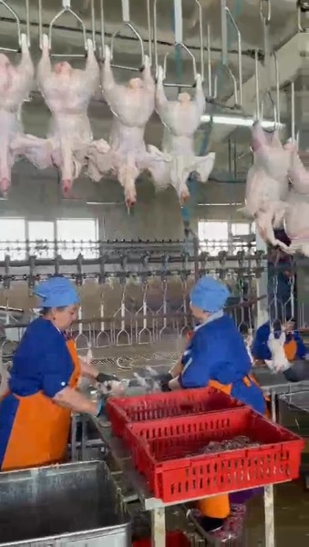 В пригороде Махачкалы возобновляет работу птицефабрика