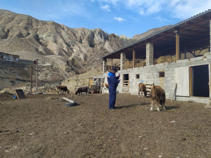 Плановые профилактические мероприятия