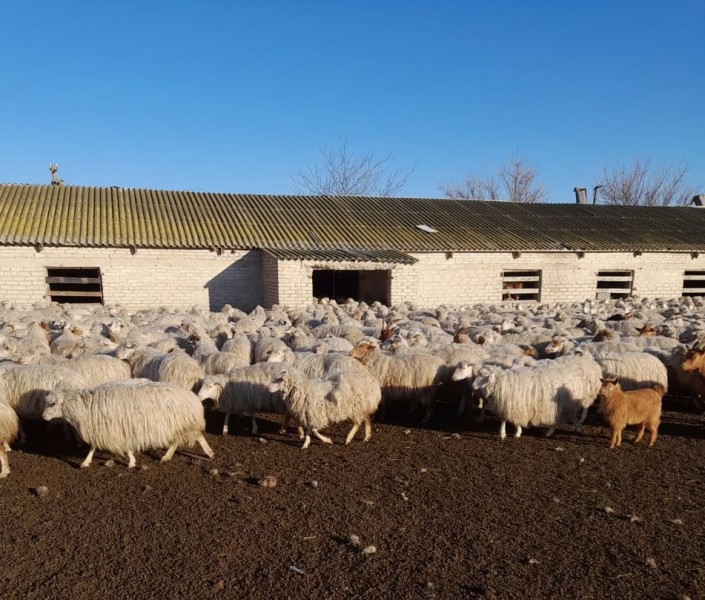 Плановые профилактические и диагностические мероприятия