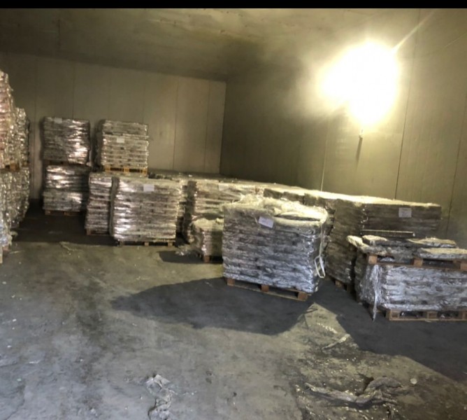 Выданы ветеринарно-регистрационные удостоверения по результатам обследования в п. Сулак