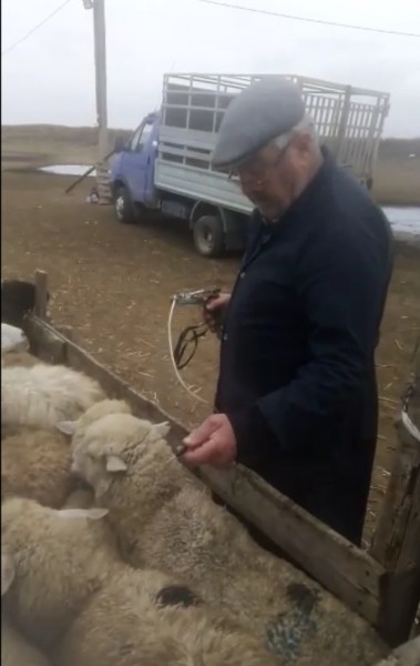 Ветеринарные мероприятия в Хунзахском районе