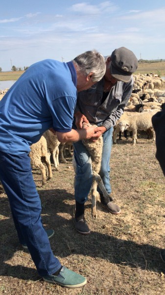 Осенние профилактические мероприятия