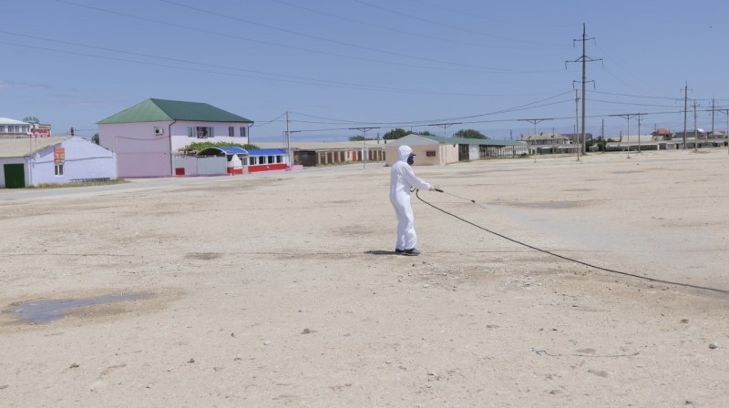 Ветеринарно-санитарные мероприятия на территории ООО «Манасская ярмарка»