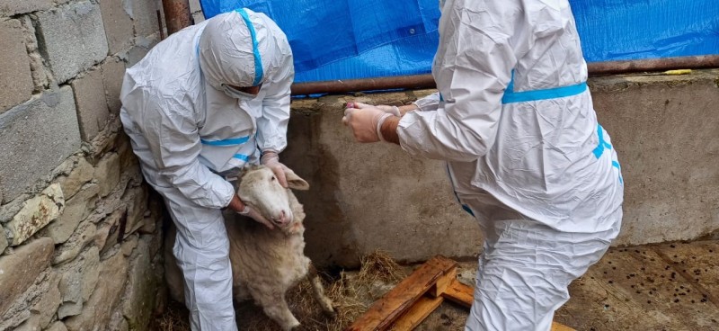 В Дербентском районе прошли межрегиональные командно-штабные учения