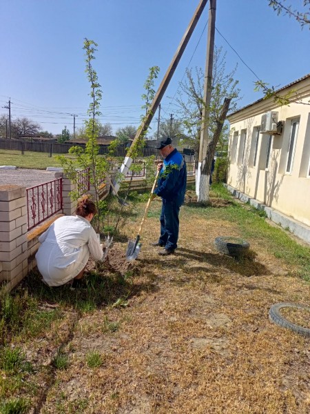 Субботники в ветеринарных управлениях