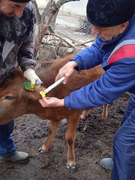 В Унцукульском районе завершаются плановые мероприятия