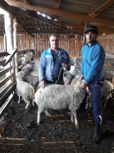 Плановые профилактические и диагностические мероприятия