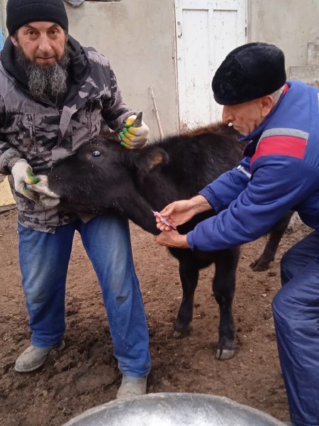 В Унцукульском районе завершаются плановые мероприятия