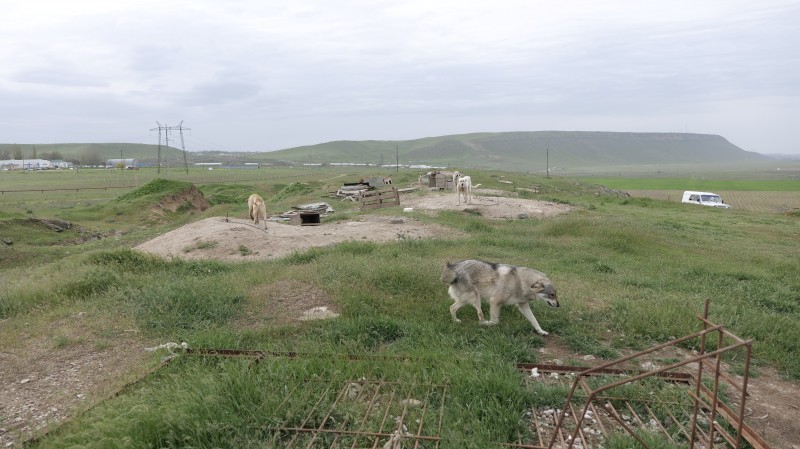 Выездное мероприятие