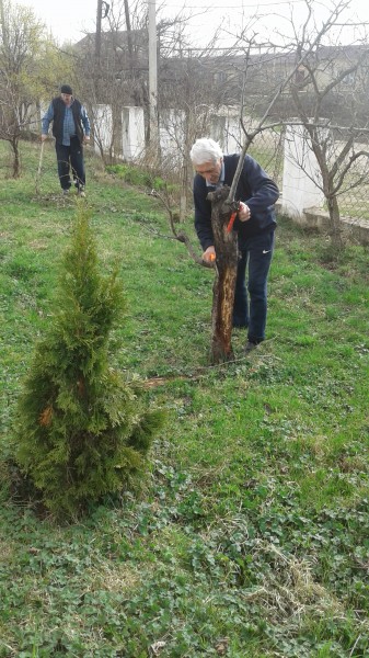 О проведении субботника