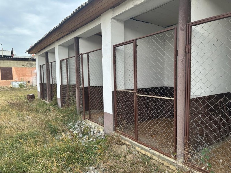 Осмотр приюта в Буйнакском районе