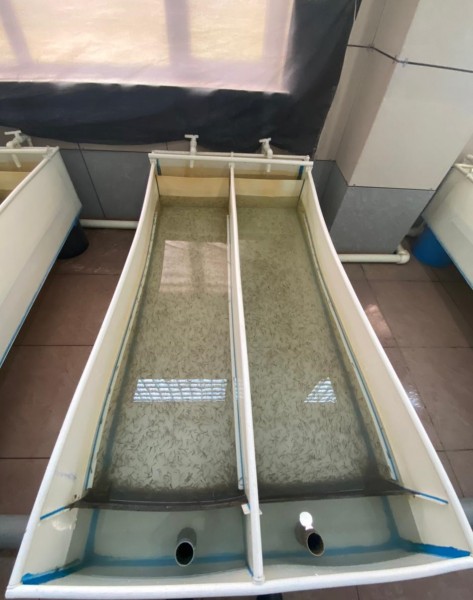 Внеплановое обследование деятельности рыбного хозяйства СПК «Форель Дагестана»