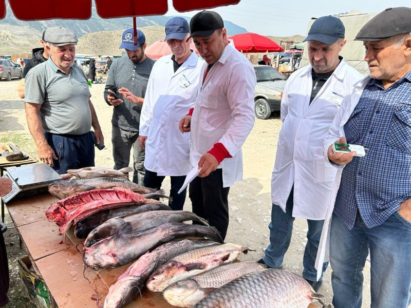 Выездные мероприятия на ярмарках выходного дня