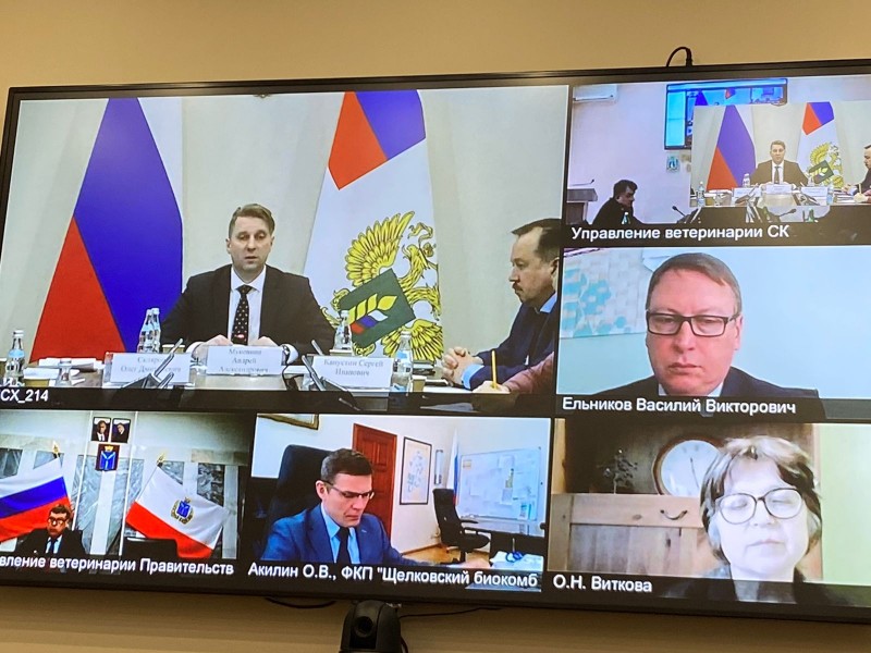 Апробация новой противобруцеллезной вакцины