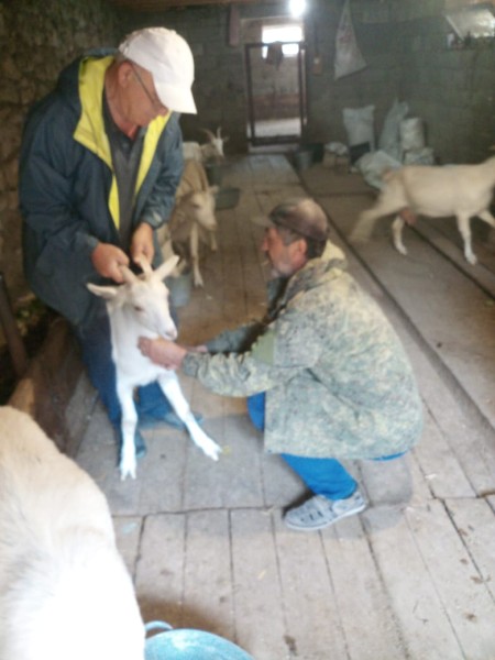 Ветеринарные мероприятия в хозяйствах Гунибского района