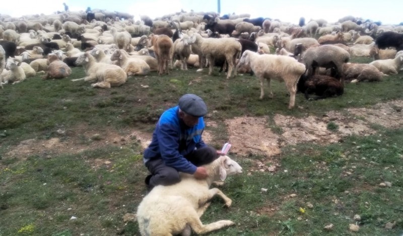 Трудности на пути перегона