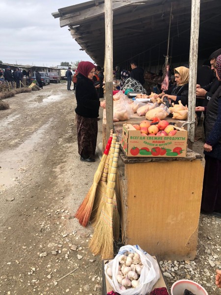 Мониторинговые мероприятия северного межрайонного отдела мониторинга