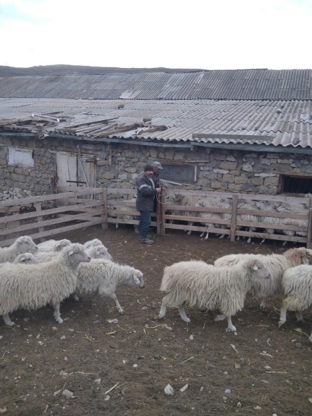 Плановые профилактические мероприятия