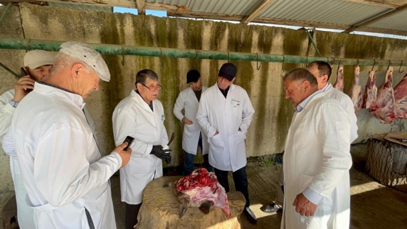 Выездные мероприятия на ярмарках выходного дня