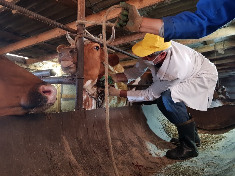 Оздоровительные мероприятия в неблагополучных пунктах города Махачкалы