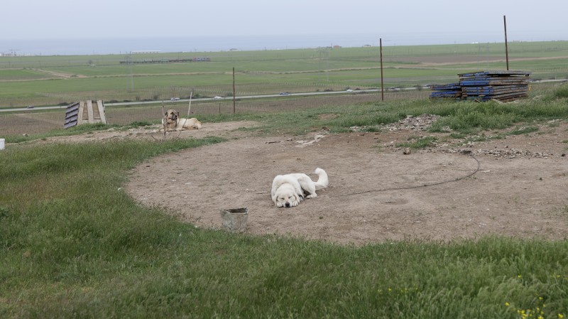 Выездное мероприятие