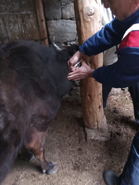 В Унцукульском районе завершаются плановые мероприятия