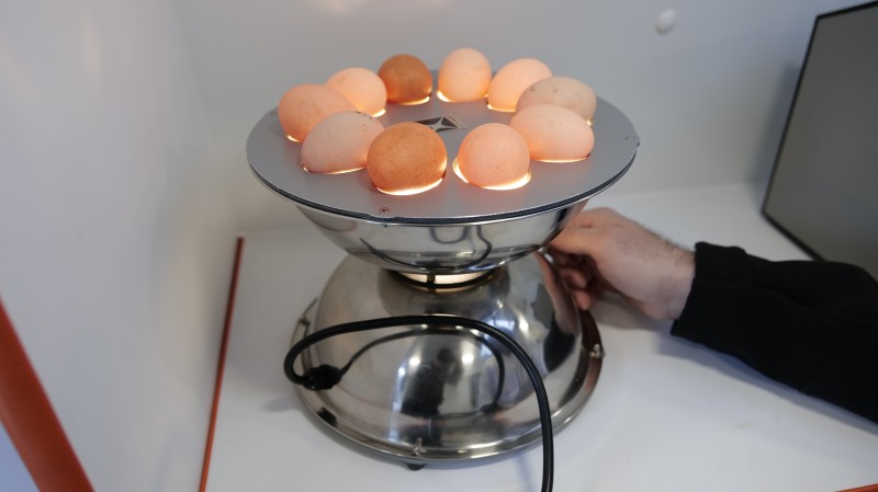 Мониторинговые мероприятия на ООО «Манасская ярмарка» и СПоК сельхозярмарка «Загородный»