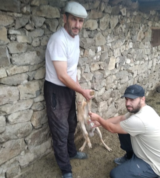 В Гумбетовском районе подвели итоги работы за первое полугодие