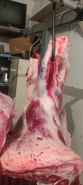 Мониторинговые мероприятия северного межрайонного отдела мониторинга