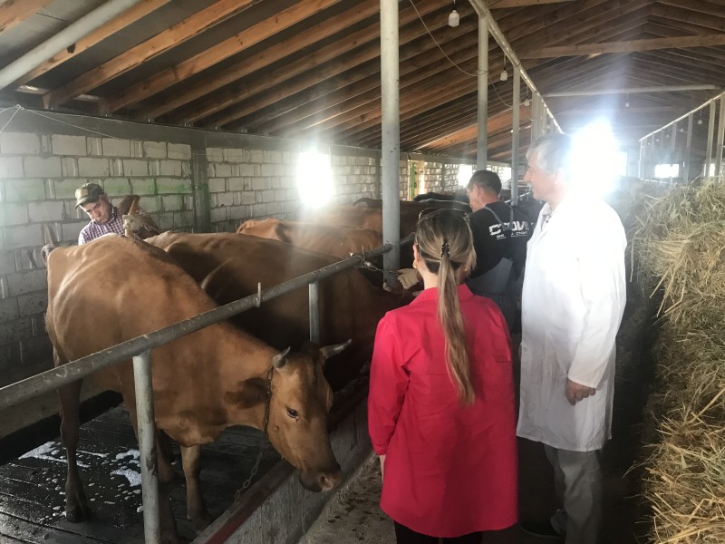 Выездные ветеринарные мероприятия