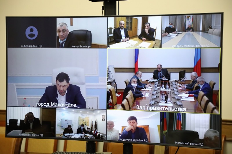 Приюты для бездомных животных построят в Кизилюрте и Дербенте