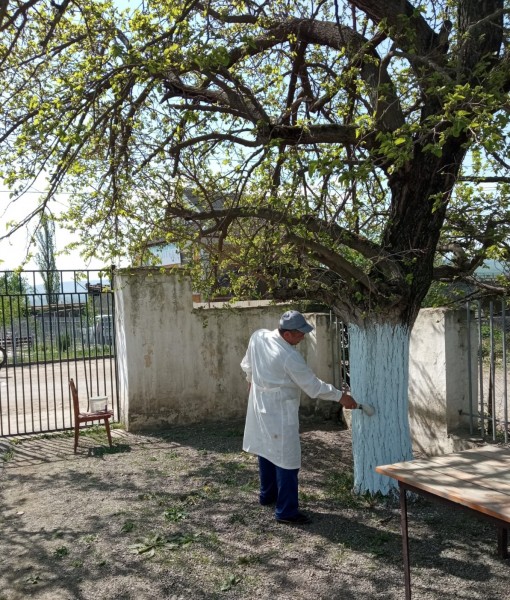 Субботники в ветеринарных управлениях