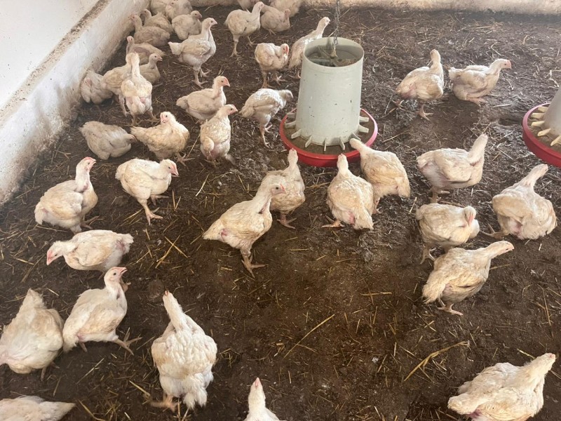 Учения в Бабаюртовском районе