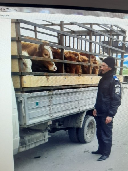 Мониторинговые мероприятия межрайонного отдела «Северный»