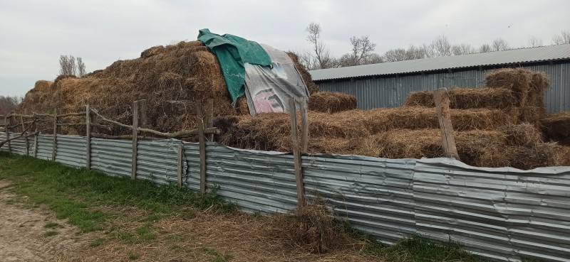 Мониторинговые мероприятия в животноводческих хозяйствах Хасавюртовского района