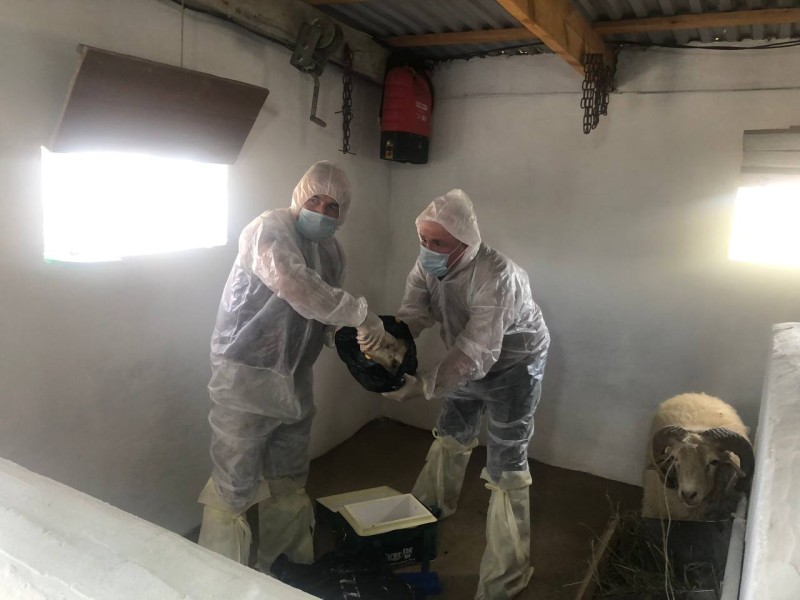 Региональные командно-штабные учения по локализации и ликвидации условного очага бешенства