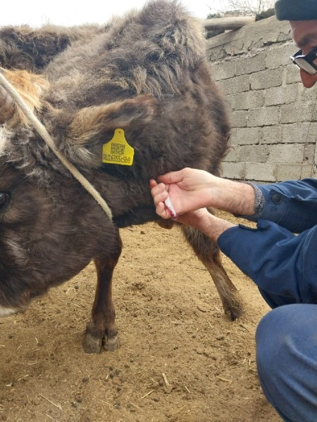 В Унцукульском районе завершаются плановые мероприятия