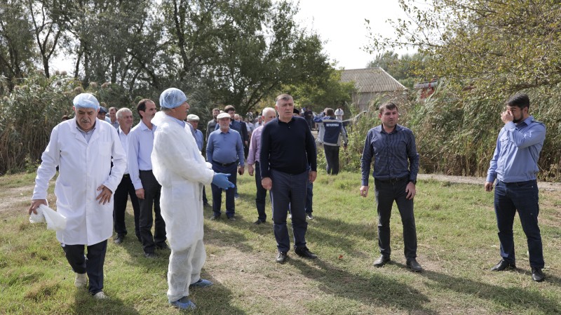 Учения по ликвидации условного очага оспы овец