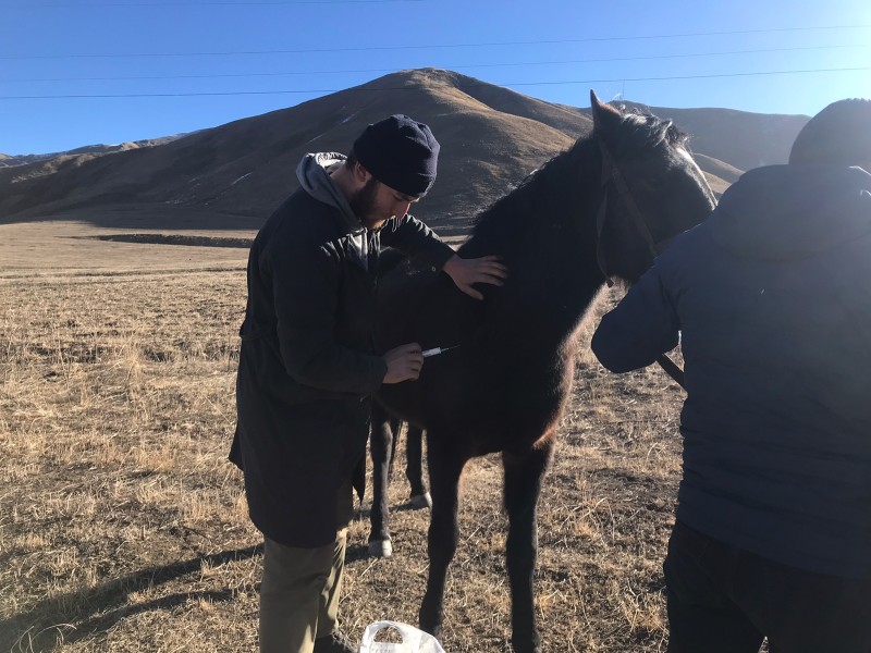 Противоэпизоотические мероприятия в республике