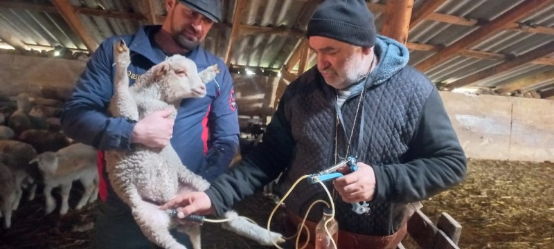 Ход выполнения плановых ветеринарных мероприятий в хозяйствах республики