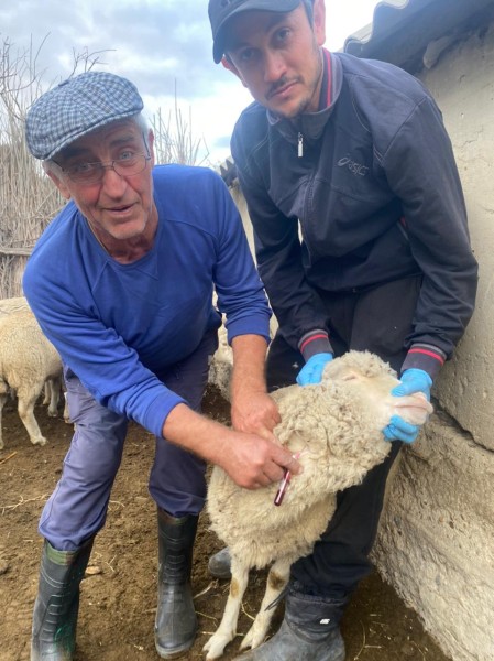 Ветеринарные мероприятия в Гунибском районе