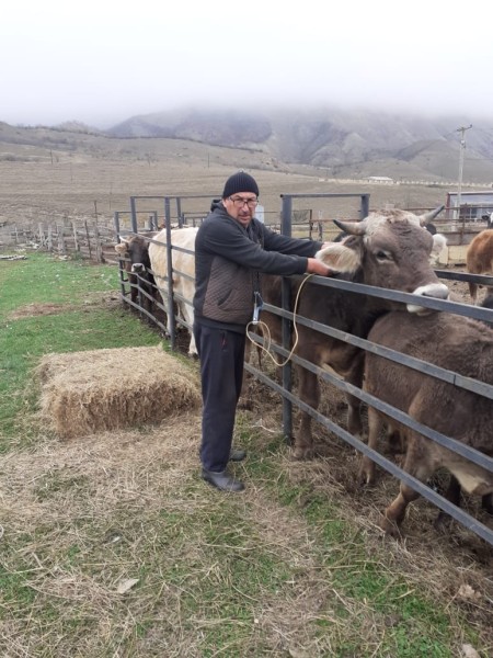 Плановые профилактические мероприятия