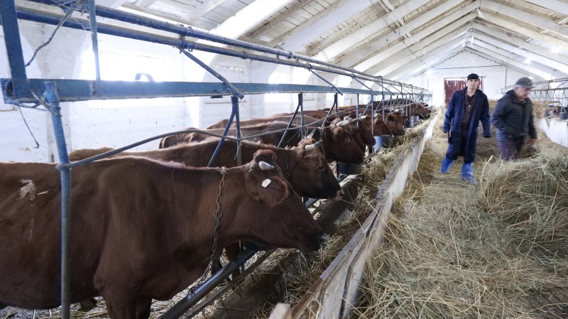 Мониторинговые мероприятия в племенных хозяйствах Гунибского района