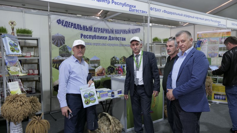 В Дагестане проходит 23 –я Российская выставка племенных овец и коз