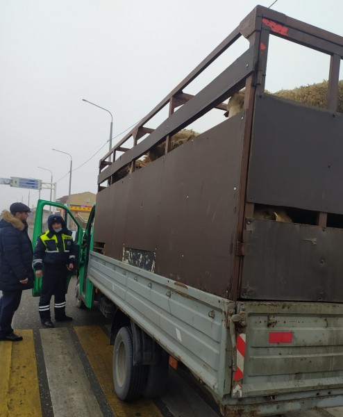 Мониторинговое мероприятие на трассе А-167