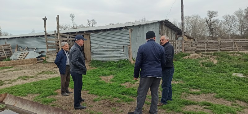 Мониторинговые мероприятия в животноводческих хозяйствах Хасавюртовского района